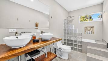 Shower, hair dryer, bidet, towels