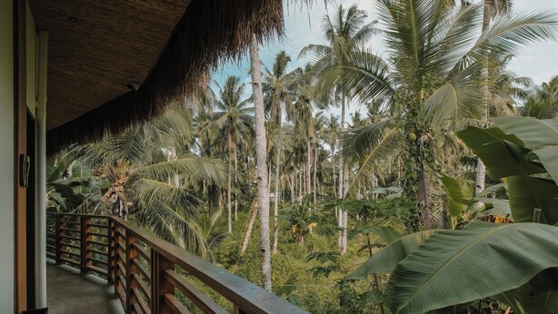 A wooden balcony with a thatched roof overlooking a lush tropical garden with tall palm trees. - UNLTD Hotel Siargao (General Luna)