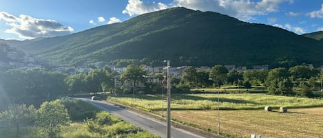 A road leading through a rural area with a mountain in the background.
