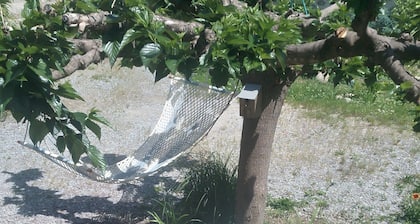 In the heart of the Ardeche river