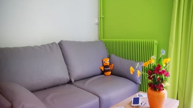 A grey sofa with a small orange toy and a vase of flowers on a wooden table. - Apartment in Amboise Near Royal Chateau (Amboise)