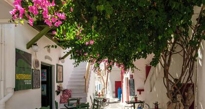 Mr & Mrs Mykonos The Residence