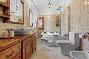 Shower, hair dryer, bidet, towels - E-villa Vintage Istria with heated and covered pool (Čabrunići)