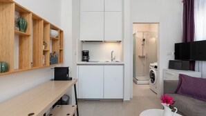 Un espace de vie compact comprenant un coin cuisine, un coin repas, un canapé, un téléviseur et un espace douche.