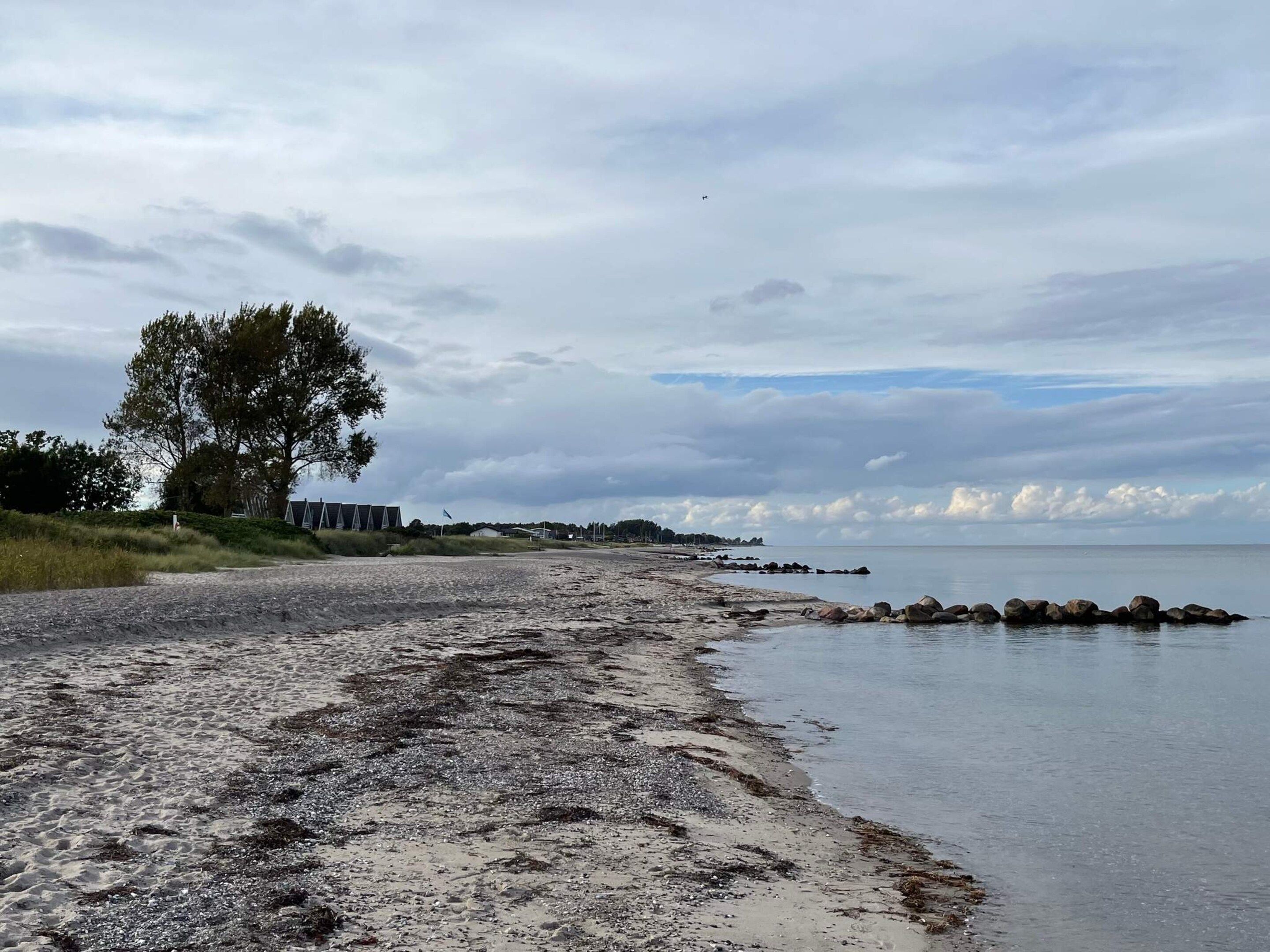 A beach with a rocky shoreline, a tree, and a building in the background.
