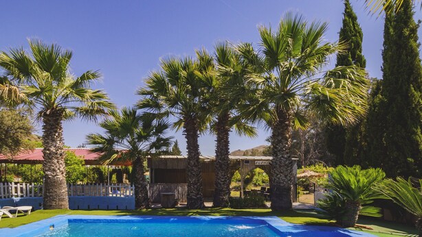 A swimming pool surrounded by palm trees and a white fence. - Cubo's Finca La Parra / private pool / BBQ / free Wi-Fi (Pizarra)