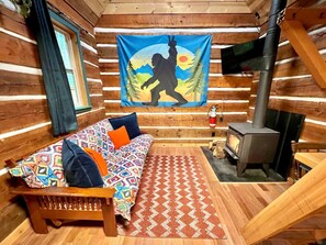 TV connectée, cheminée, livres