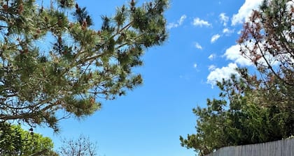 Walk to the beach from 4 Bedroom house in Amagansett - Private Beach Path Access