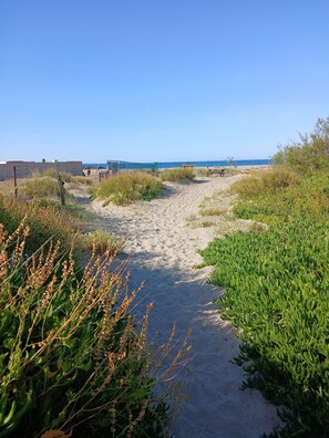 En sandig stig som löper längs stranden, med grönskande växtlighet på båda sidor, och som leder ner till havet.