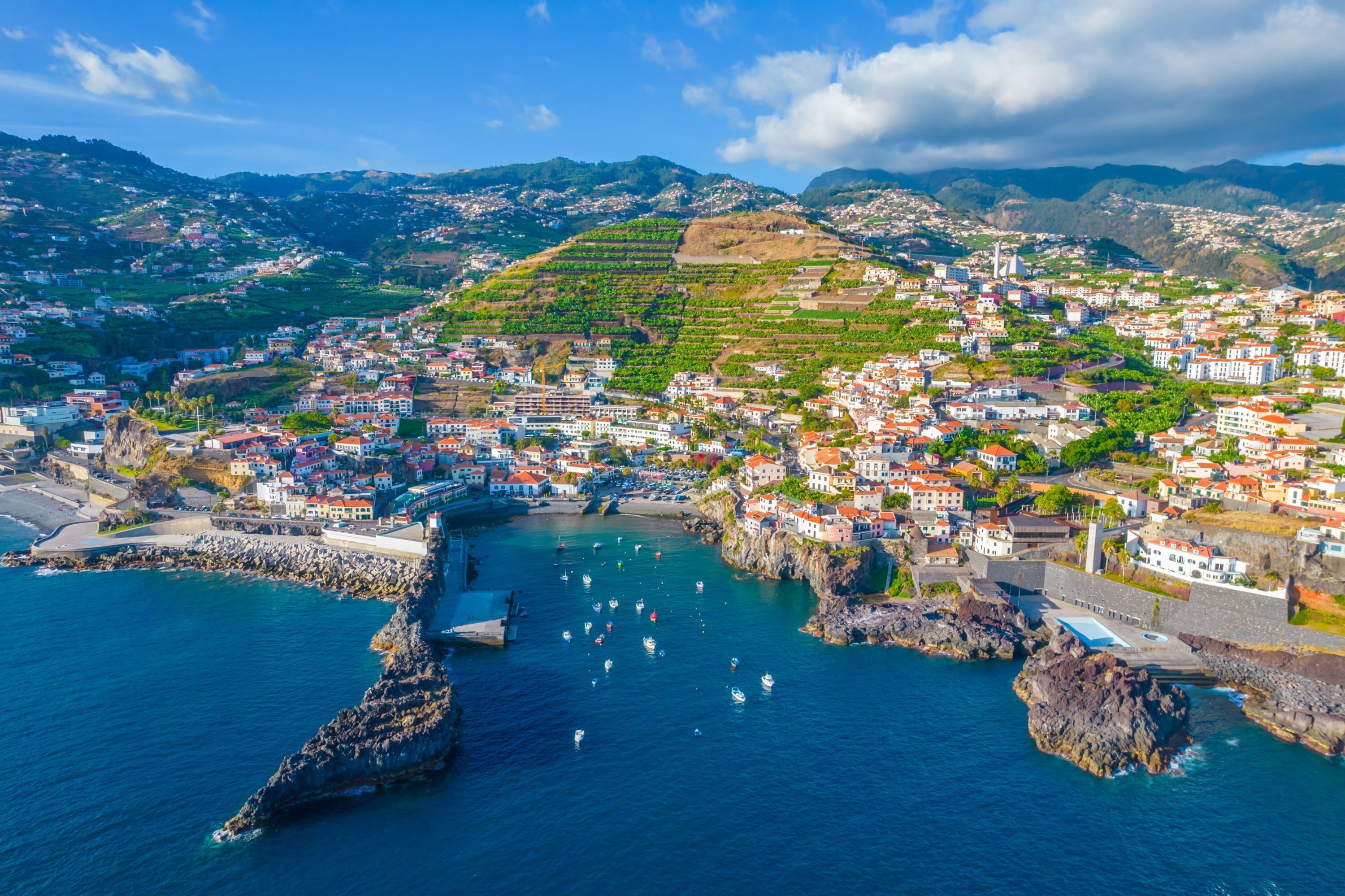 A coastal town with terraced vineyards, a harbor with boats, and a mix of residential and commercial buildings.