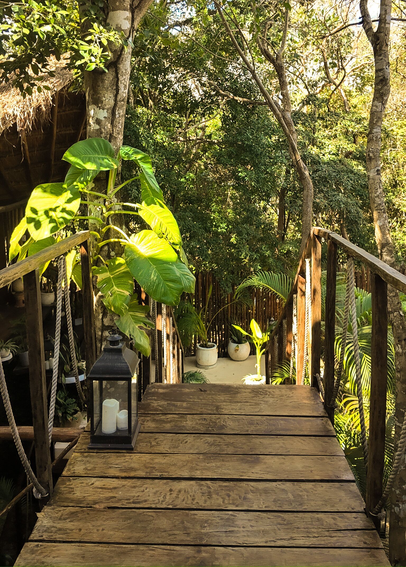 Foto - Ikal Bungalows Tulum
