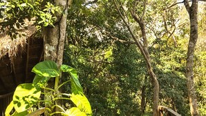 A wooden bridge with rope railings, surrounded by lush greenery and potted plants. - Ikal Bungalows (Tulum)