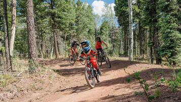 A dirt bike trail in a forested area.