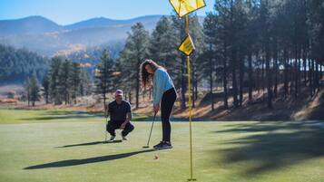 Un campo de golf con una banderín, un putting green y un fondo boscoso.