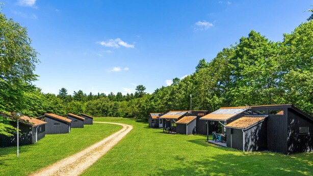 A campground with multiple cabins, a gravel path, and surrounding greenery. - 4 Person Holiday Home in Hampen (Hampen)