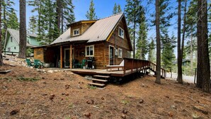 Un chalet rustique doté d’une terrasse en bois, entouré de grands pins.