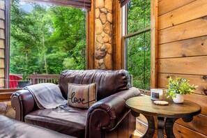 Smart TV, fireplace, DVD player, books
