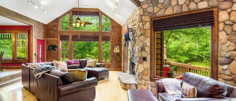 Smart TV, fireplace, DVD player, books