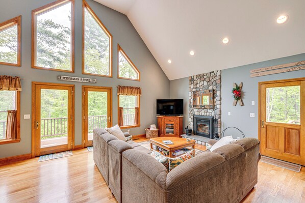 TV, fireplace, books