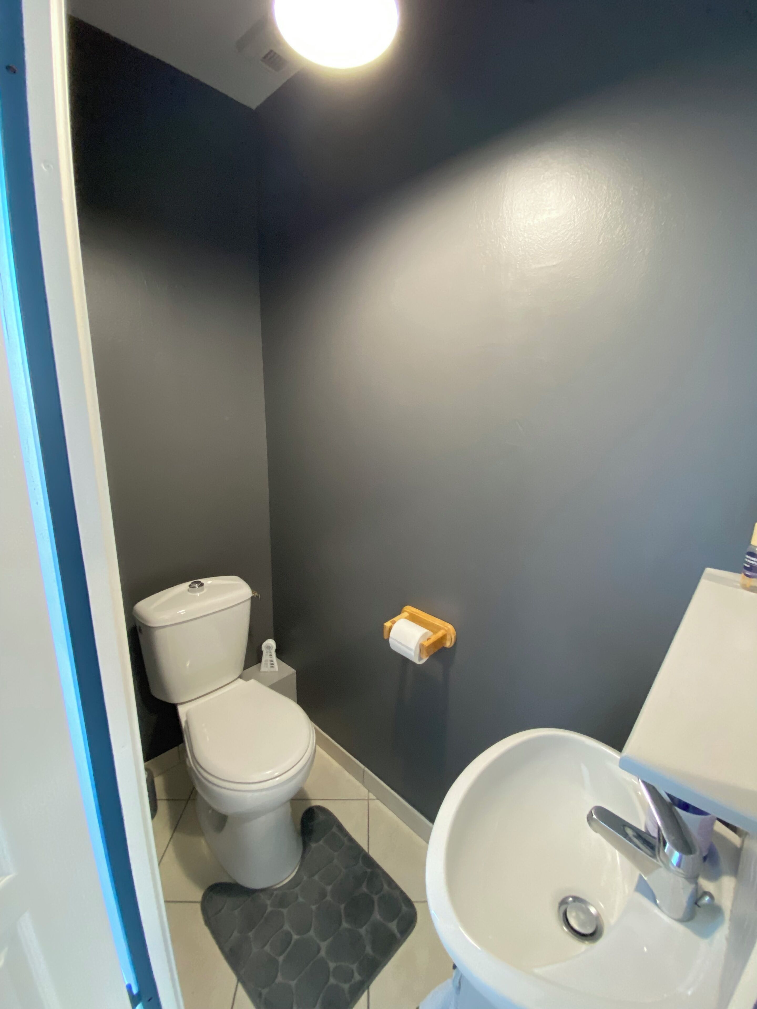 Un bagno con il water, un lavandino e un portasciugamani per carta igienica a parete.