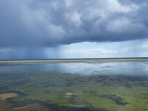 Nhà | Quang cảnh mặt nước