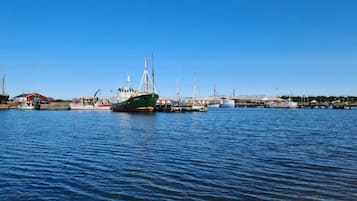 独立别墅 | 水景