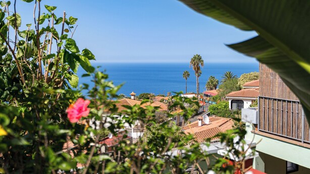 A coastal view with a clear blue sky, a palm tree, and buildings with red-tiled roofs.