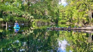 A kayaker on a calm river surrounded by dense greenery and trees.