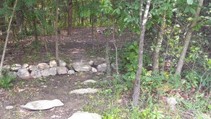 A forested area with a dirt path and a stone wall. - Deer Creek @B Berry Farms (Elkland)