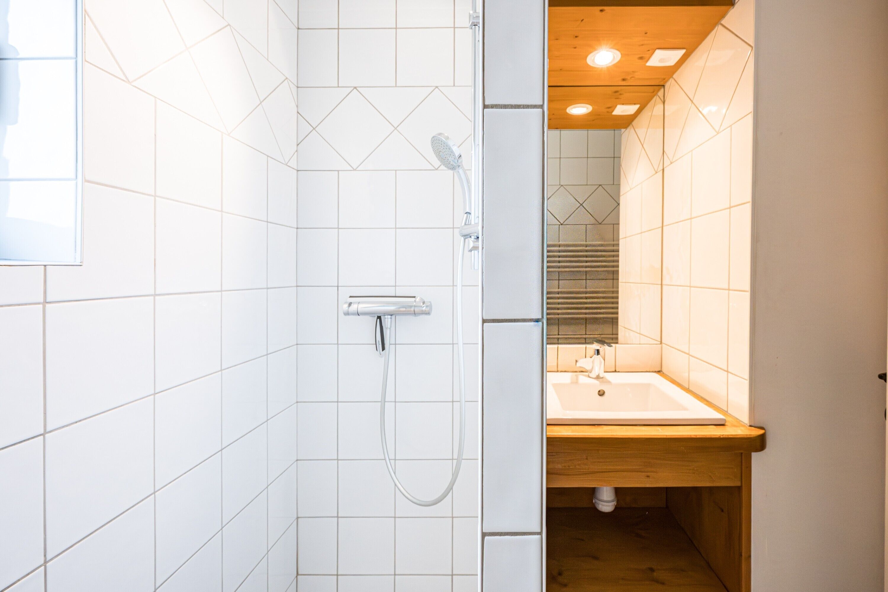 Shower, hair dryer