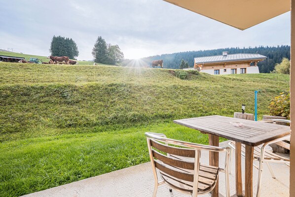 Outdoor dining - Studio Apartment '3 - Le Rodhodendron' with Mountain View, Shared Garden and Wi-Fi (Cohennoz)