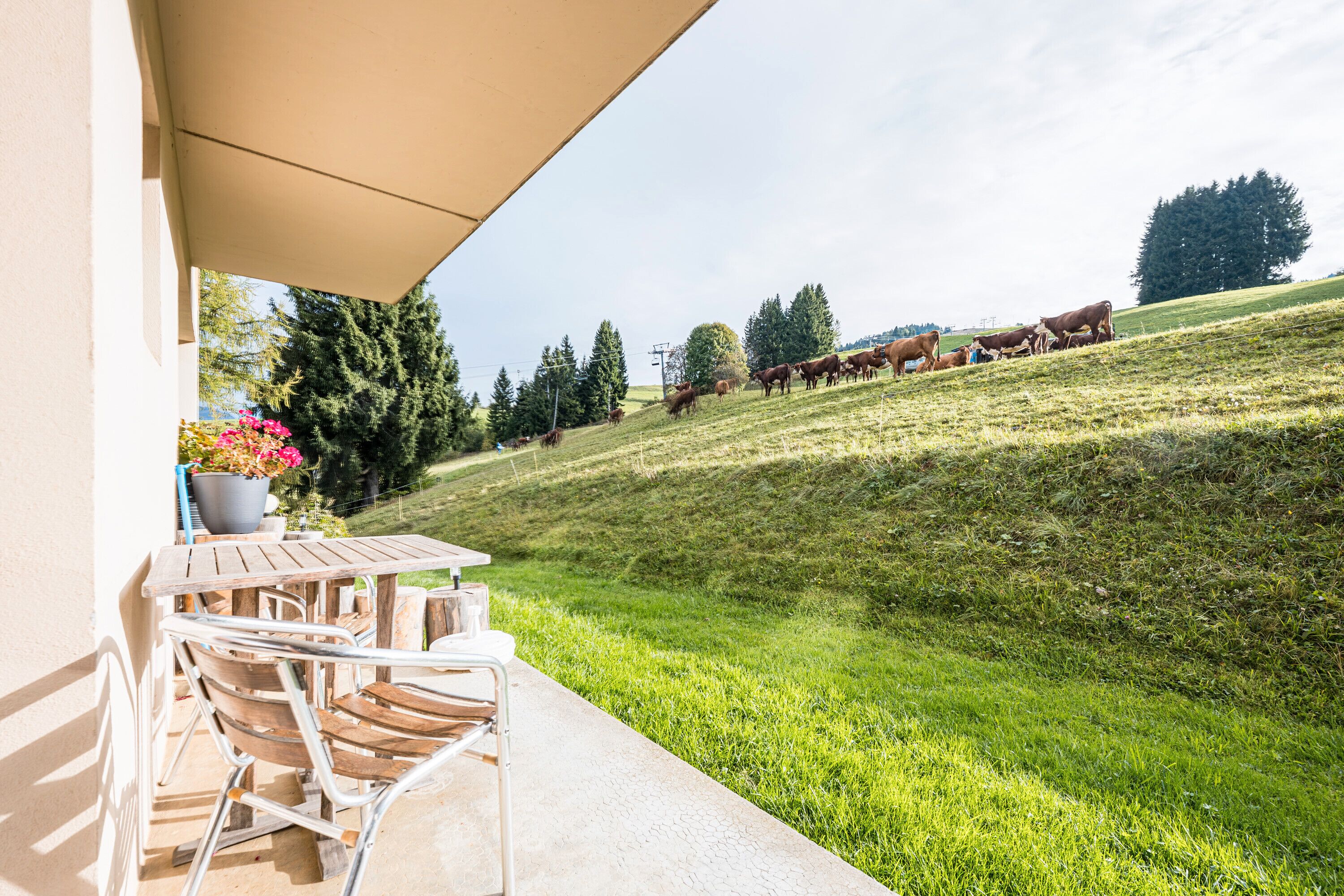 Ristorazione all'aperto