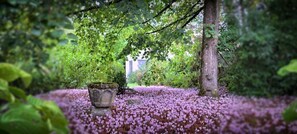 Property grounds - Bastide Armande – Historic Charm with Pool and Air Conditioning in the Heart of the Tarn (Dénat)