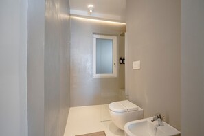 Ducha, secador de pelo y toallas