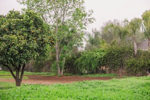 Overnattingsstedets uteområder