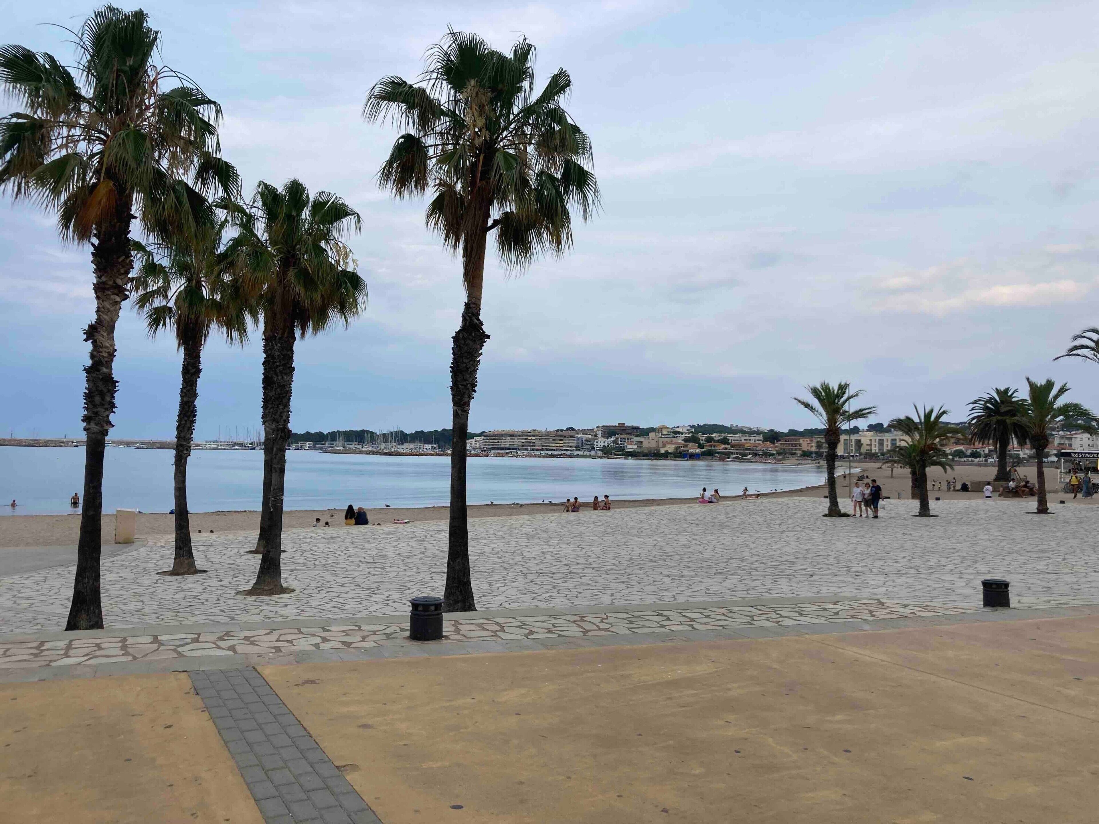 A beach with palm trees, a paved walkway, and a view of the sea and buildings in the distance.