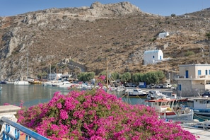 Un pueblo costero con barcos amarrados, una colina con edificios y un arbusto de flores rosas prominente.