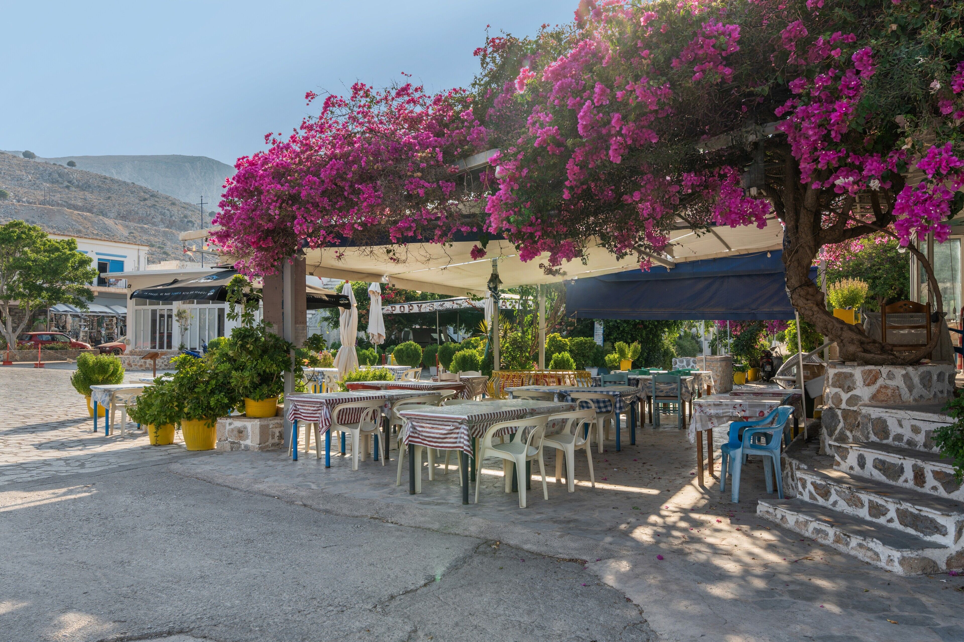 An outdoor café with tables and chairs, surrounded by potted plants and a stone staircase.