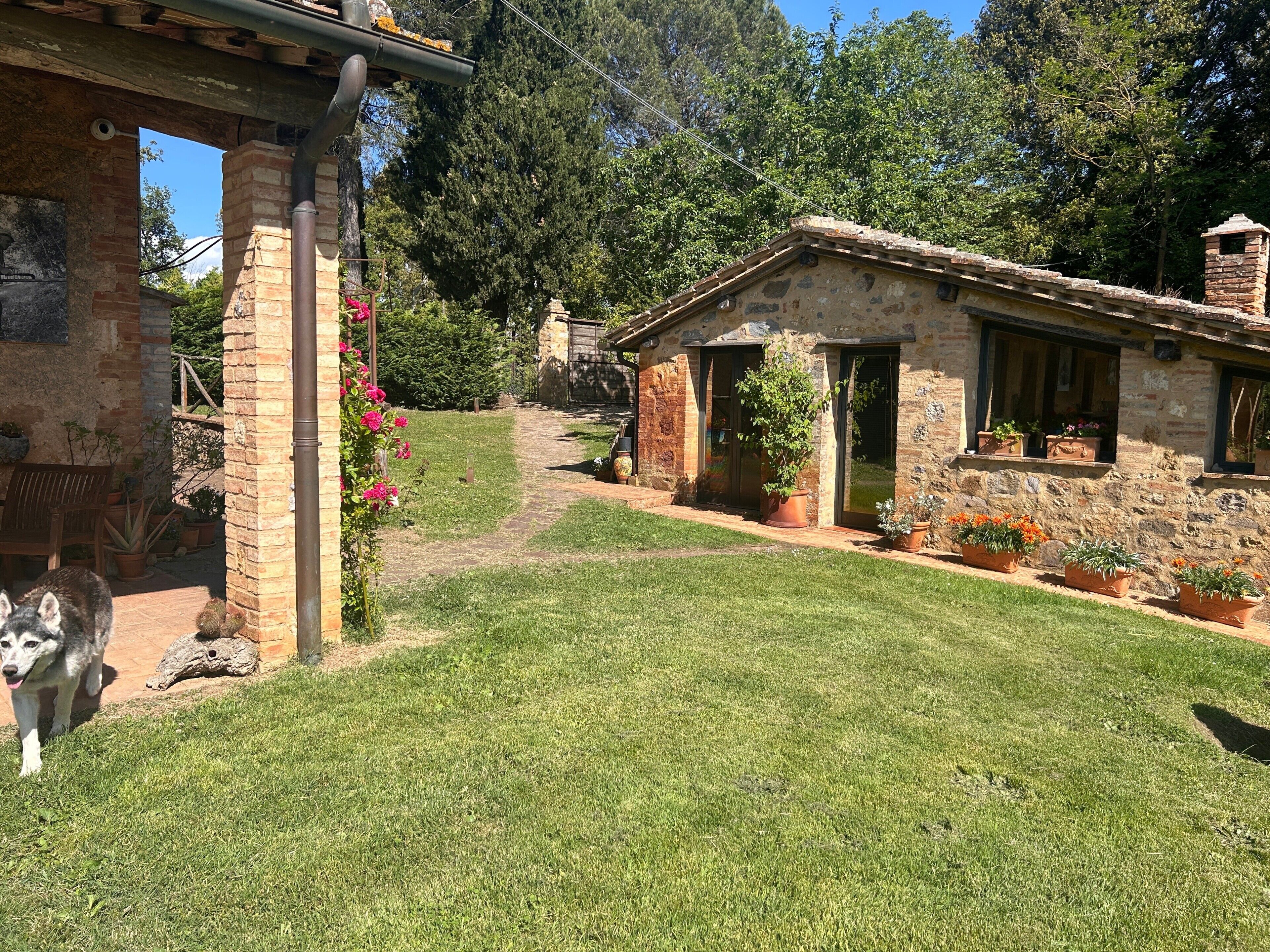 A rustic stone building with a grassy yard, a wooden bench, and a dog.
