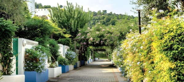 A pathway lined with lush greenery and flowering plants, leading to a building with a white facade and blue shutters.