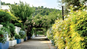 A pathway lined with lush greenery and flowering plants, leading to a building with a white facade and blue shutters.