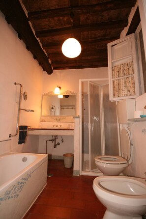 Een badkamer met een bad, toilet, douche en een spiegel.