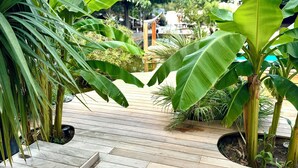 Eine Holzterrasse führt zu einem Garten mit großen, grünen Bananenblättern und anderen tropischen Pflanzen.