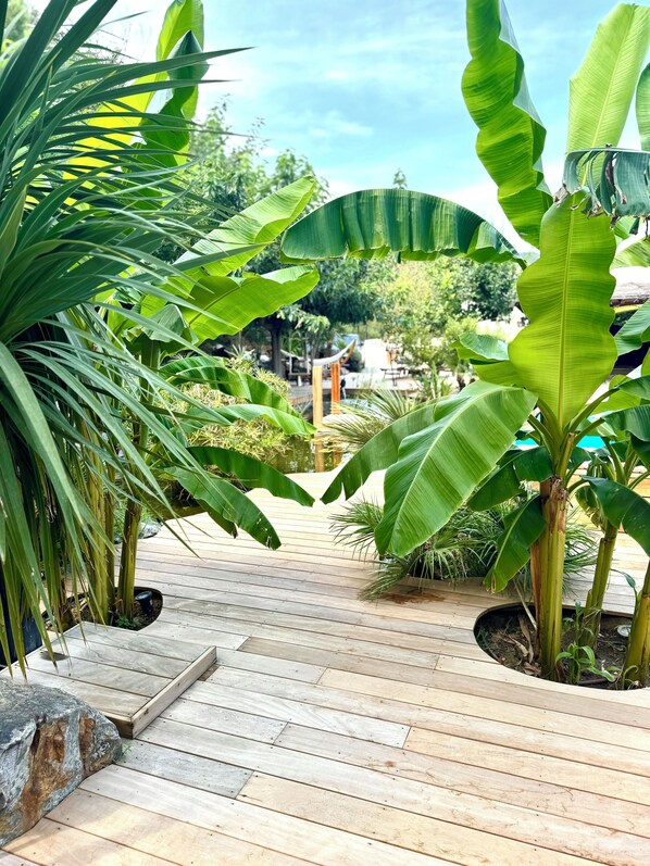 Terrain de l’hébergement