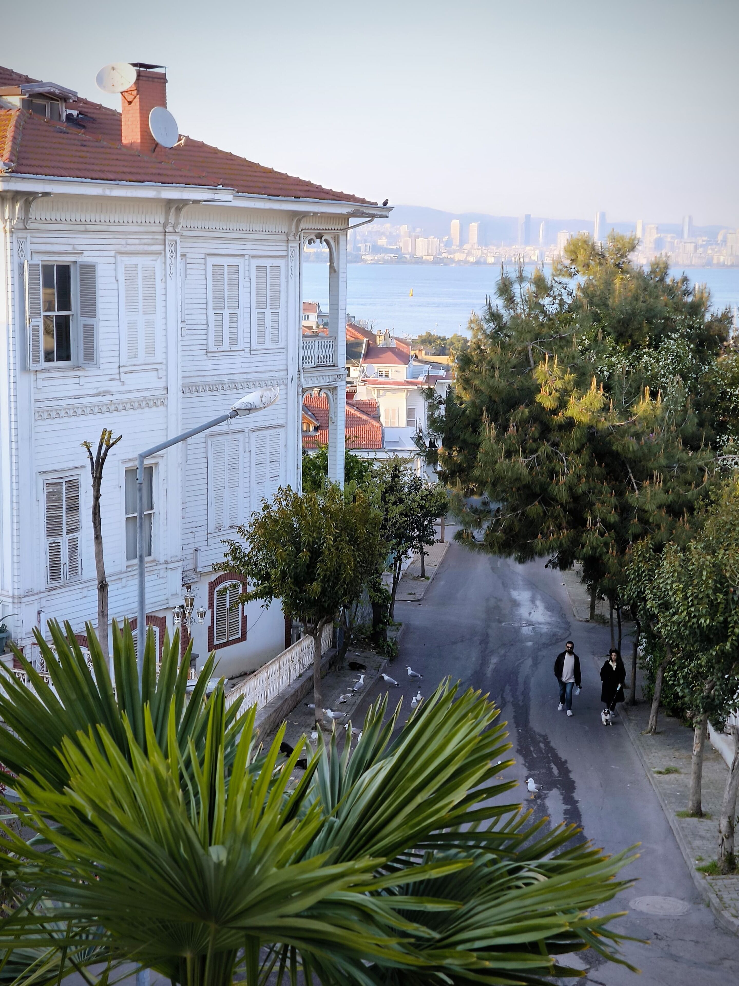 Foto - Palm Villa Büyükada