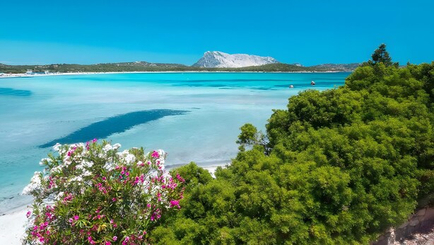 A coastal landscape with clear turquoise waters, a mountain in the background, and lush greenery in the foreground. - Holiday Home 'Elisa' with Wi-Fi and Air Conditioning (Viddalba)