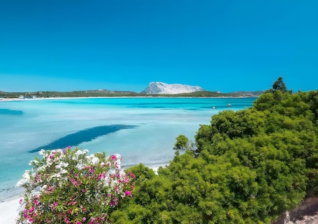Beach. Holiday Home 'Elisa' with Wi-Fi and Air Conditioning