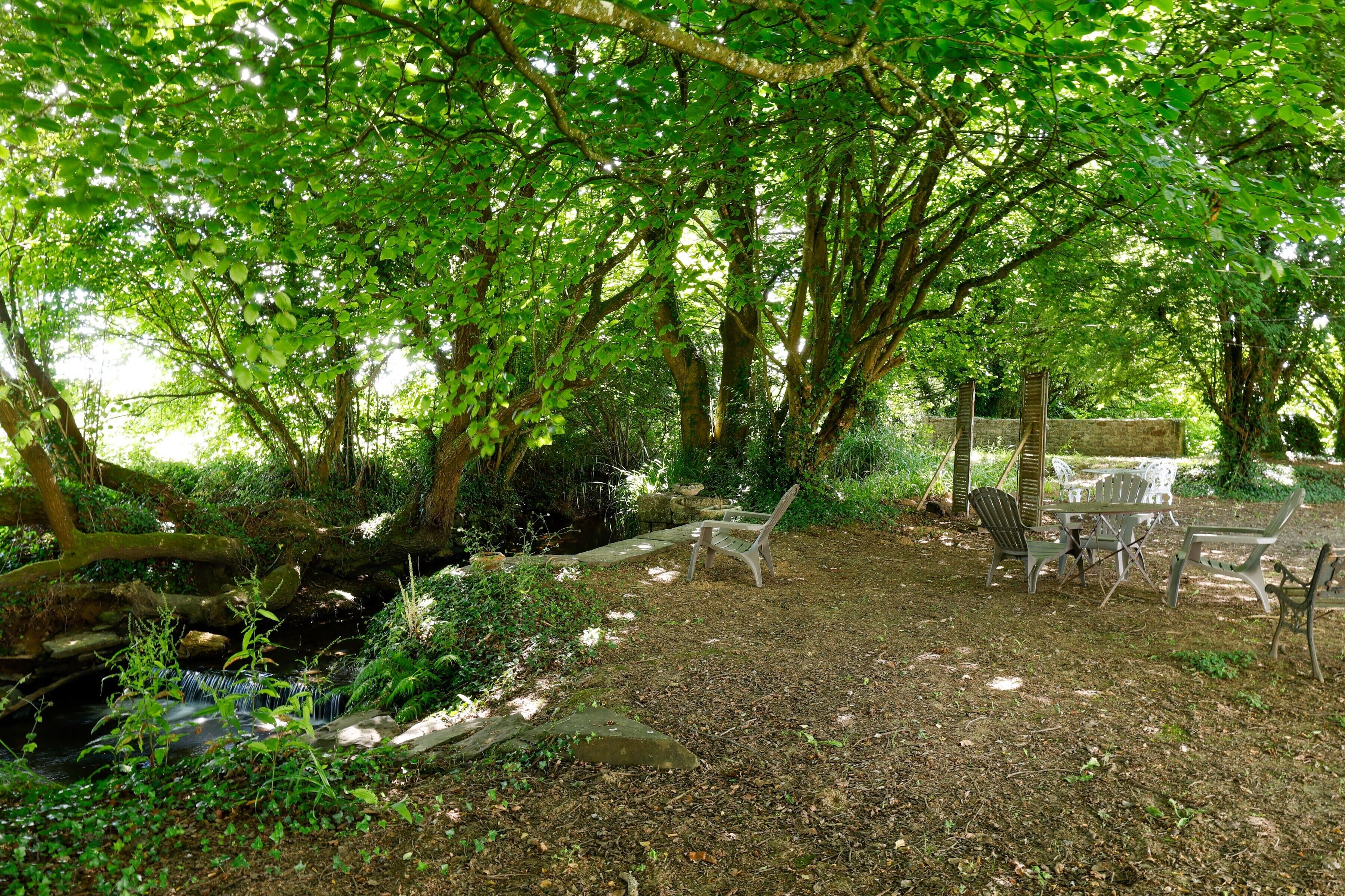 Un jardin avec un banc, une table et des chaises sous un arbre.