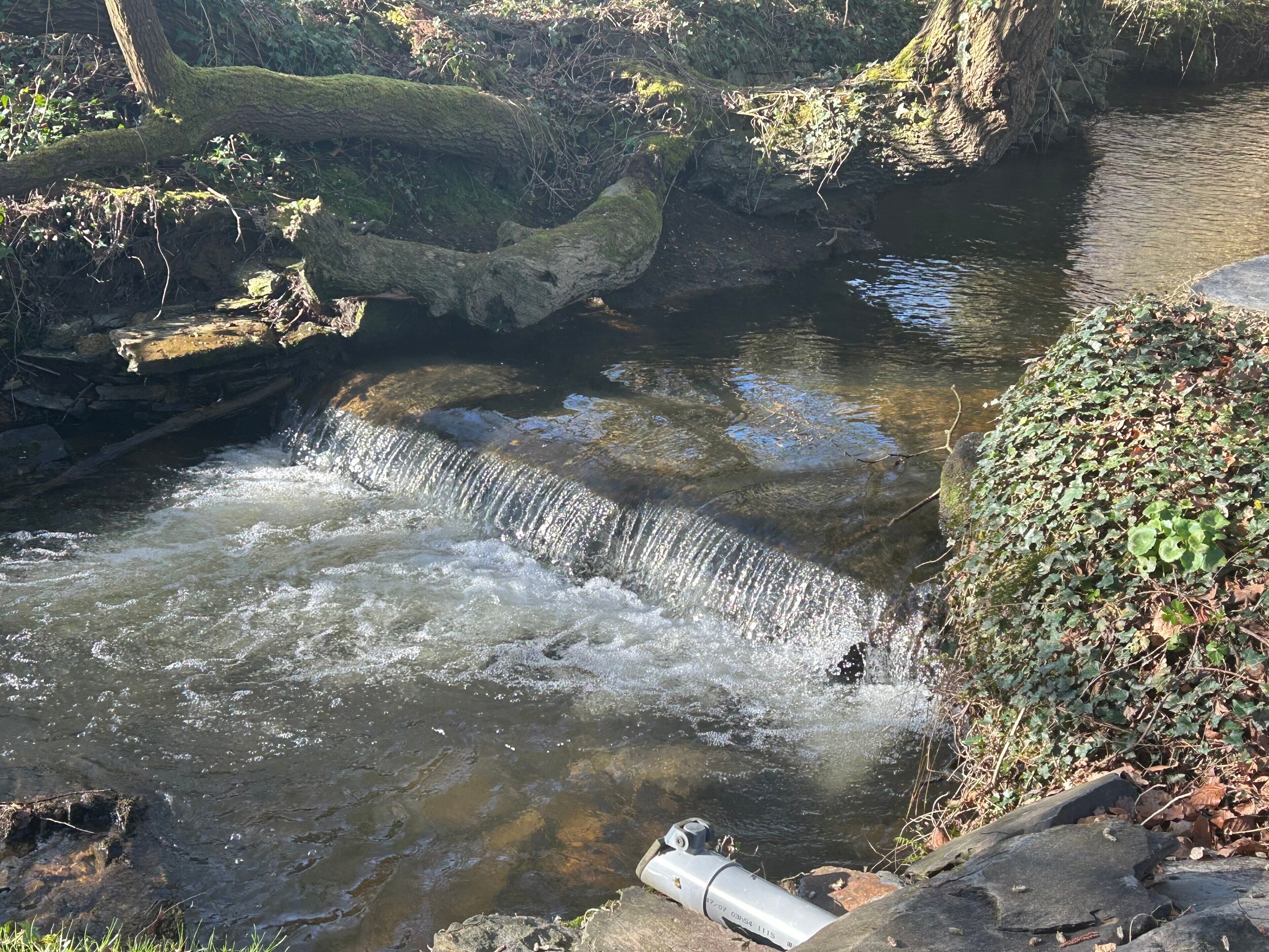 A natural water feature with a small waterfall, surrounded by rocks and vegetation.