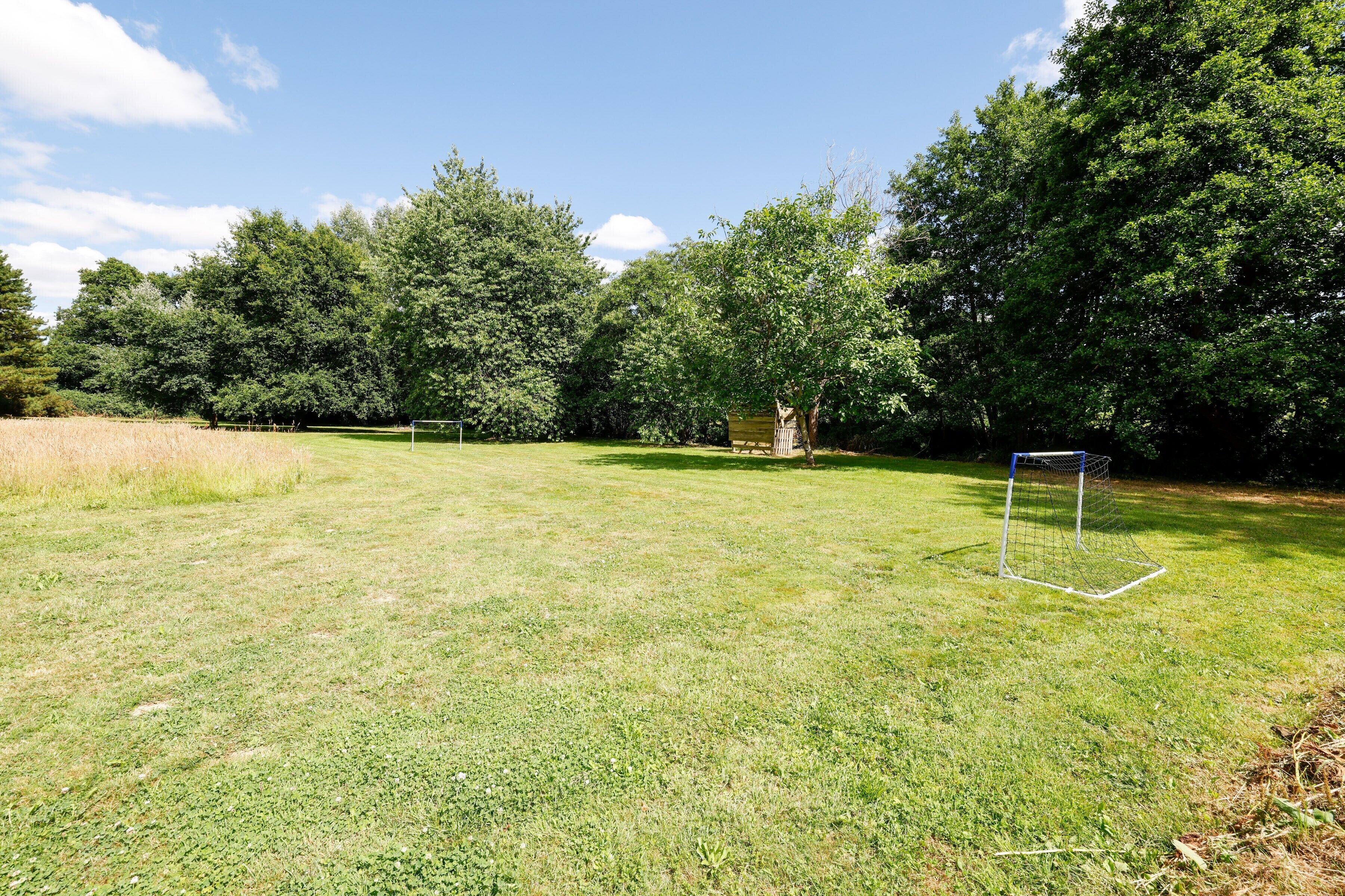 Un terrain herbeux avec un but de football et des arbres en arrière-plan.